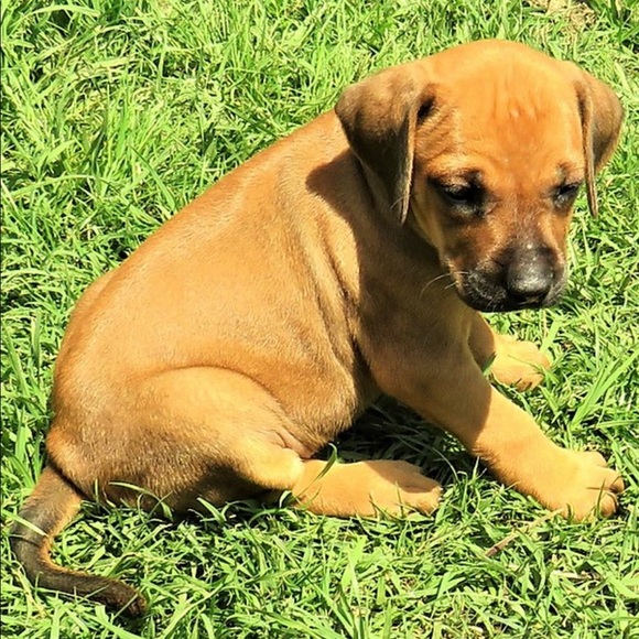 Meet your Posher, Esther - Picture 1 of 1